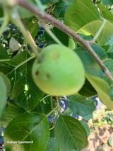 팜모닝 자유주제·자유게시판 게시글 이미지