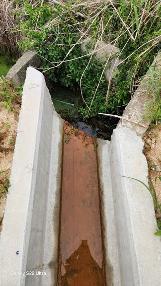 장영수님의 자유주제 · 자유게시판 작성글 사진