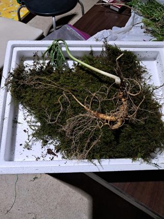 윤성진님의 작성글 사진