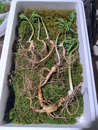 윤성진님의 작성글 사진