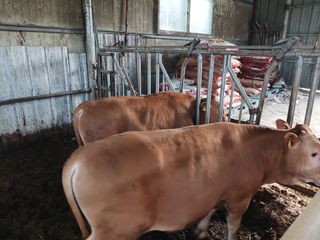 알 수 없음님의 자유주제 · 자유게시판 작성글 사진