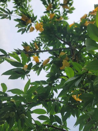 김안식~납작복숭아님의 자유주제 · 자유게시판 작성글 사진