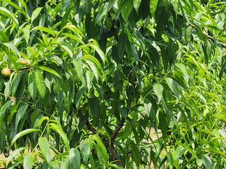 댕이골표영환님의 자유주제 · 사진전 작성글 사진