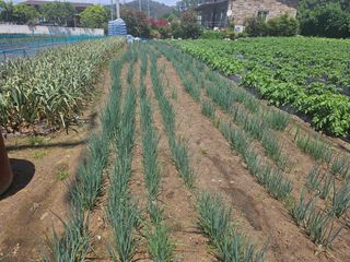 오영관님의 자유주제 · 자유게시판 작성글 사진