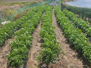 오영관님의 자유주제 · 자유게시판 작성글 사진