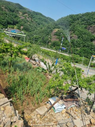 김용대님의 자유주제 · 자유게시판 작성글 사진