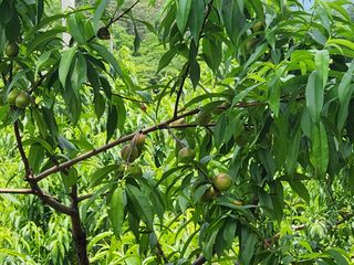 댕이골표영환님의 자유주제 · 사진전 작성글 사진