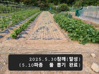 박성민님의 자유주제 · 자유게시판 작성글 사진