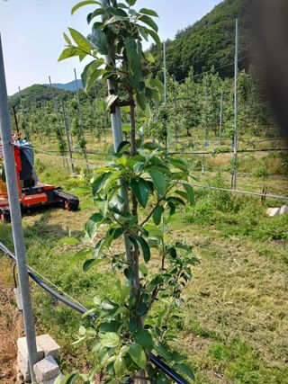알 수 없음님의 자유주제 · 자유게시판 작성글 사진