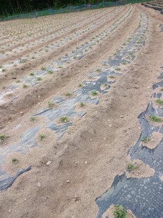 전국하님의 자유주제 · 자유게시판 작성글 사진