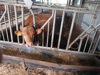 알 수 없음님의 자유주제 · 자유게시판 작성글 사진