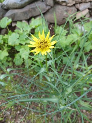 인생은 소풍처럼님의 자유주제 · 자유게시판 작성글 사진