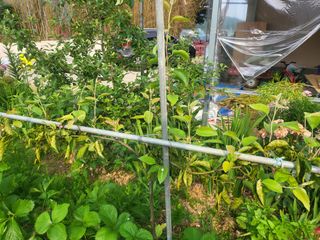 논산상월안정환님의 자유주제 · 자유게시판 작성글 사진