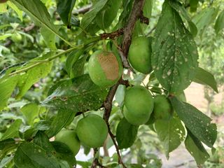 금동이네님의 자유주제 · 자유게시판 작성글 사진