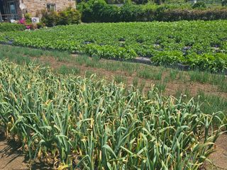 오영관님의 자유주제 · 자유게시판 작성글 사진