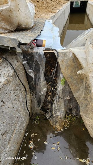 장영수님의 자유주제 · 자유게시판 작성글 사진