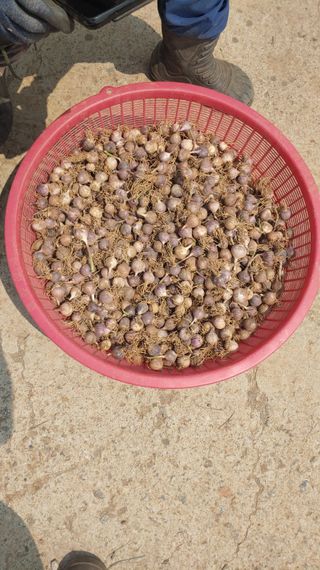 조새힘님의 작성글 사진