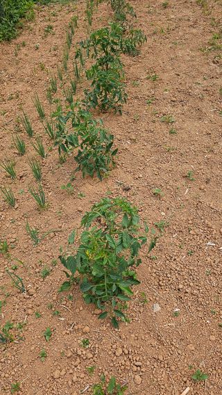 장철식님의 자유주제 · 사진전 작성글 사진