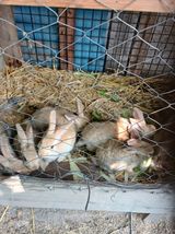 팜모닝 자유주제·자유게시판 게시글 이미지