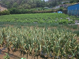 오영관님의 자유주제 · 자유게시판 작성글 사진