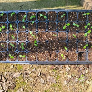 이창화님의 자유주제 · 자유게시판 작성글 사진