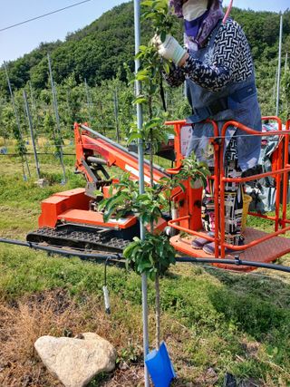 알 수 없음님의 자유주제 · 자유게시판 작성글 사진