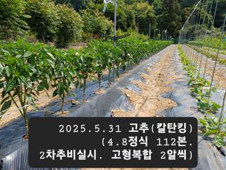 박성민님의 자유주제 · 자유게시판 작성글 사진