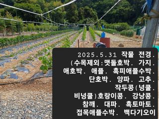 박성민님의 자유주제 · 자유게시판 작성글 사진