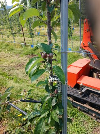 알 수 없음님의 자유주제 · 자유게시판 작성글 사진