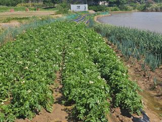 오영관님의 자유주제 · 자유게시판 작성글 사진