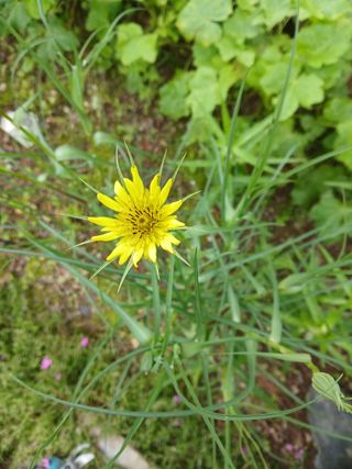 인생은 소풍처럼님의 자유주제 · 자유게시판 작성글 사진