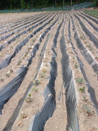 전국하님의 자유주제 · 자유게시판 작성글 사진