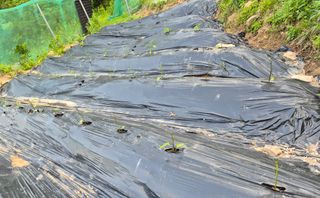 진문거사님의 자유주제 · 자유게시판 작성글 사진