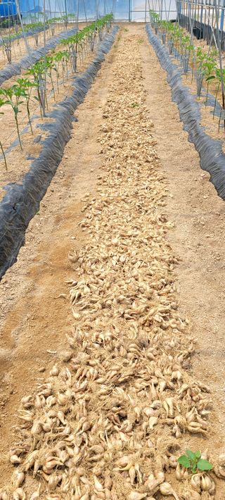 吳興祚님의 자유주제 · 자유게시판 작성글 사진