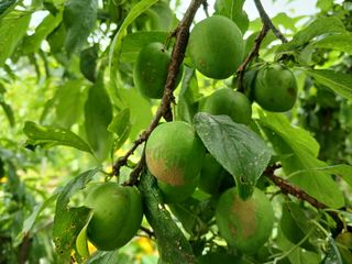 금동이네님의 자유주제 · 자유게시판 작성글 사진