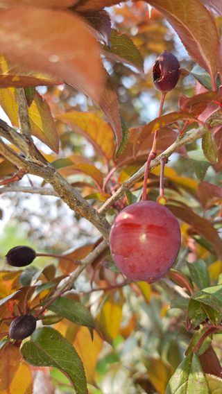 김인곤님의 자유주제 · 자유게시판 작성글 사진