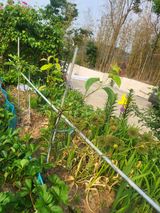 팜모닝 자유주제·자유게시판 게시글 이미지