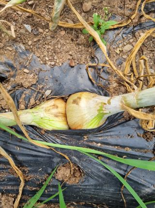 감20280님의 자유주제 · 자유게시판 작성글 사진