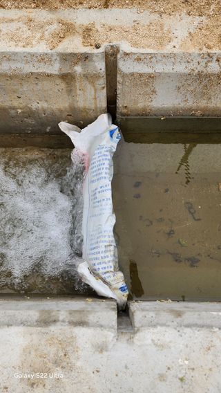 장영수님의 자유주제 · 자유게시판 작성글 사진