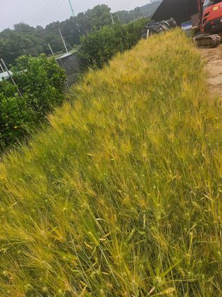 선우농장님의 자유주제 · 자유게시판 작성글 사진