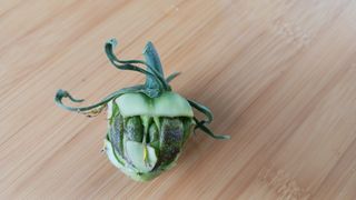 조선제님의 농사, 무엇이든 물어보세요! · 참여글 작성글 사진