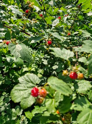 이진록님의 자유주제 · 사진전 작성글 사진