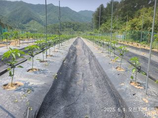 윤인석님의 자유주제 · 자유게시판 작성글 사진