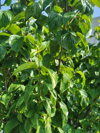 구수본님의 자유주제 · 자유게시판 작성글 사진