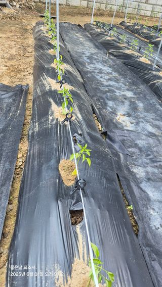 김진님의 자유주제 · 자유게시판 작성글 사진