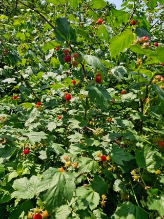 이진록님의 자유주제 · 사진전 작성글 사진