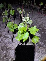 팜모닝 자유주제·자유게시판 게시글 이미지