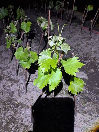 김차식님의 자유주제 · 자유게시판 작성글 사진