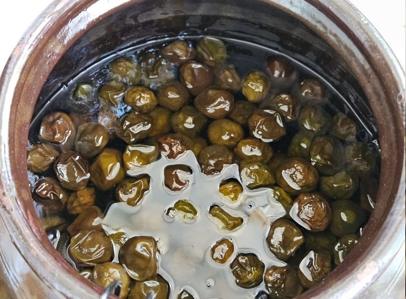 농부손녀님의 장터 판매 상품 [새콤달콤 큼직한 매실 청매실 ] 첨부 사진