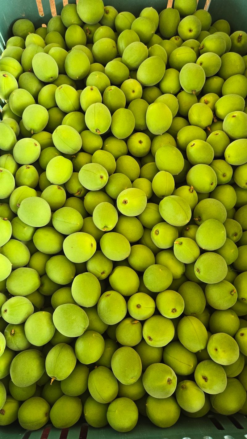 장터 상품 [청매실20kg] 썸네일